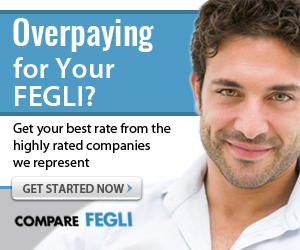 Shop less expensive FEGLI alternatives