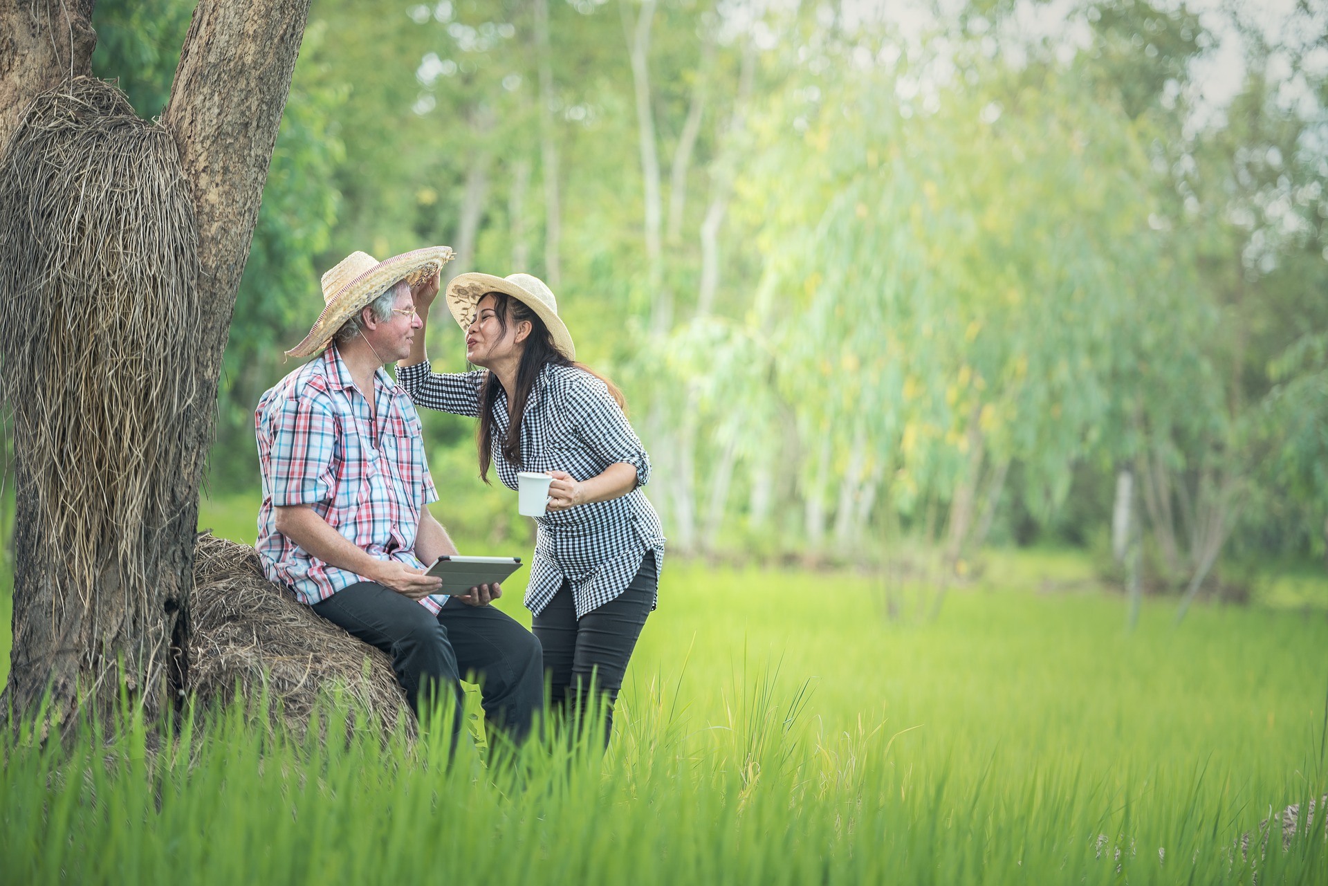 Social Security Retirement